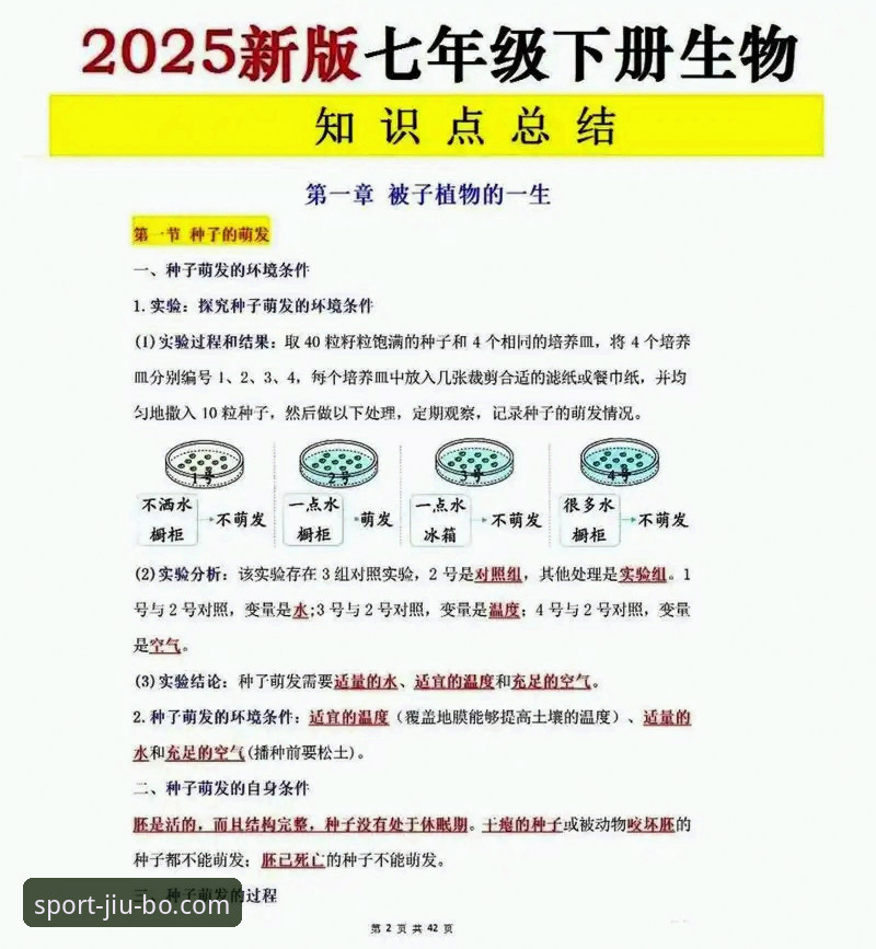 九博体育官网首页实用指南：2025新版功能与下载必备知识